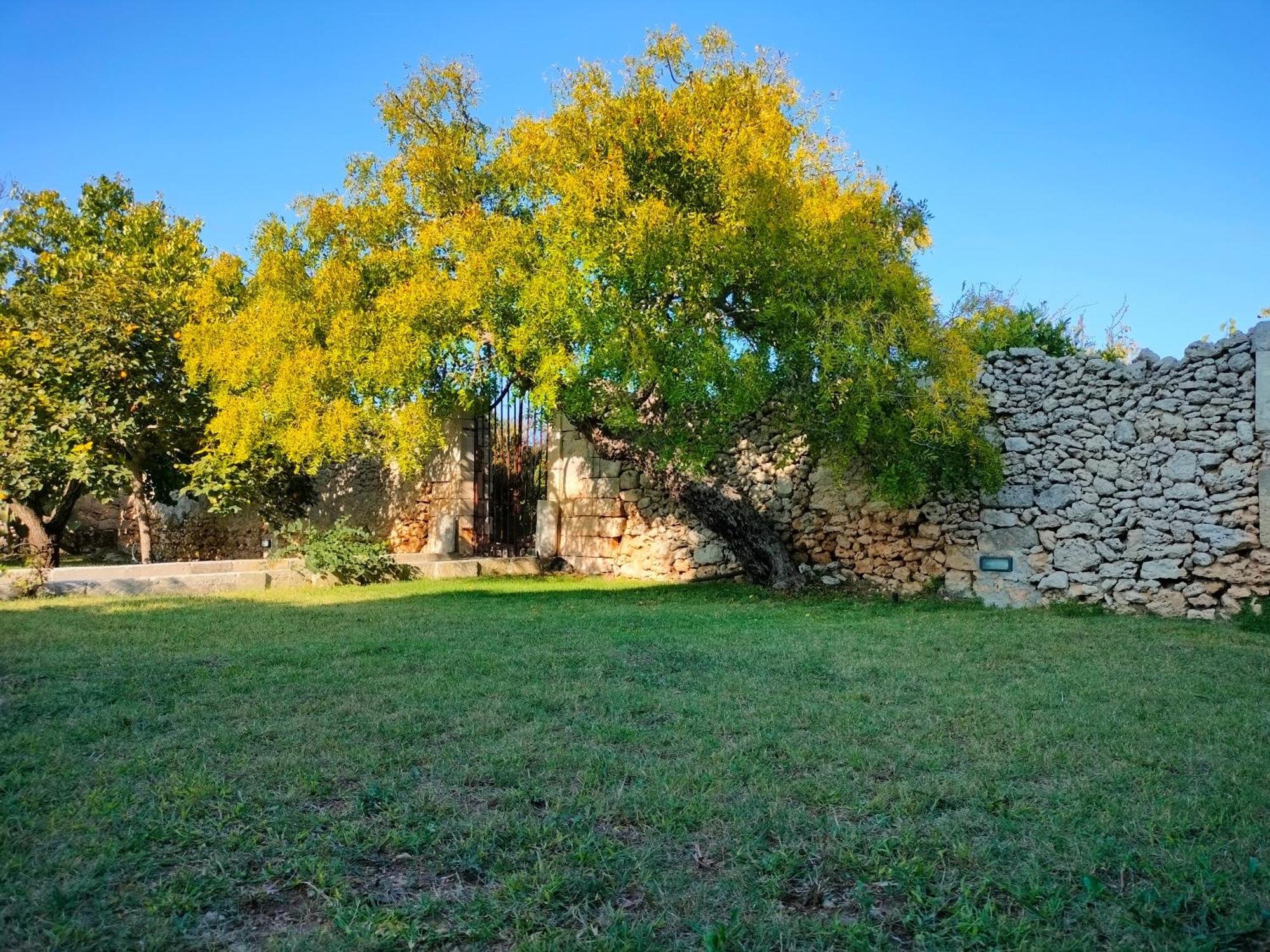 Masseria Furca Alimini Dış mekan fotoğraf