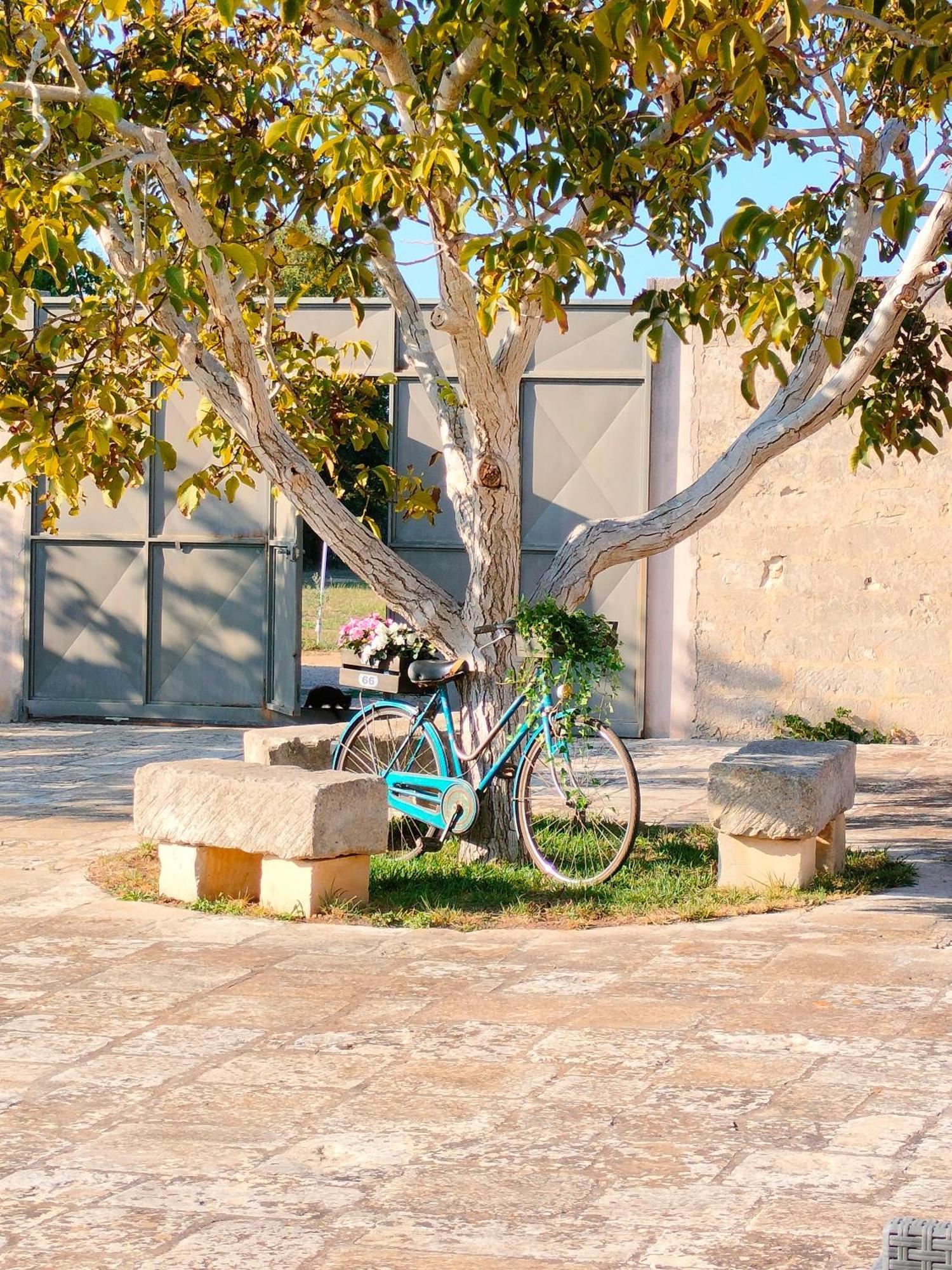 Masseria Furca Alimini Dış mekan fotoğraf